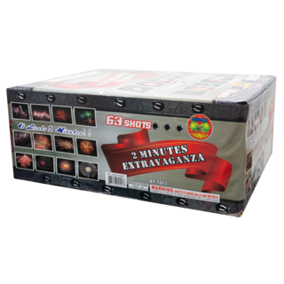 Firework Multi Aerials 2 Minutes Extravaganza